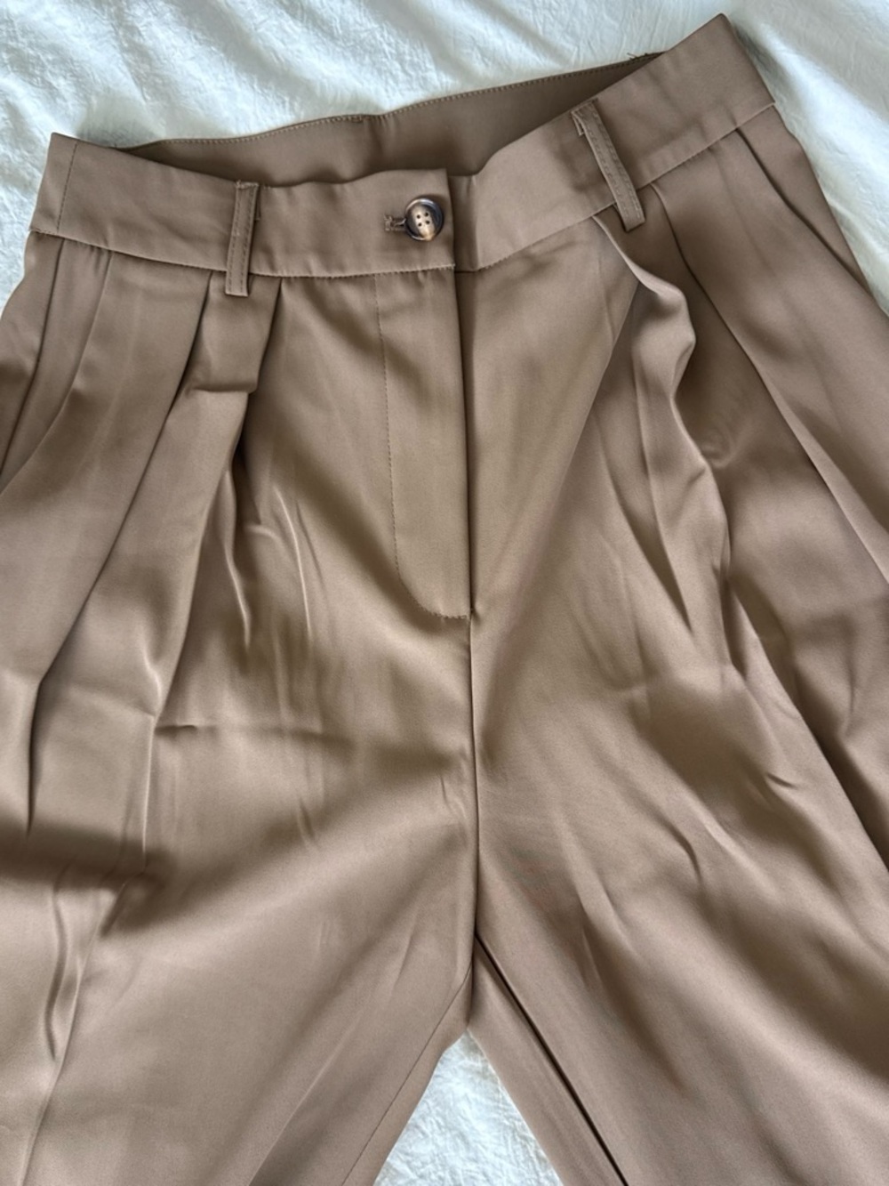 Pleated High-Waist Wide-Leg Trousers in brown